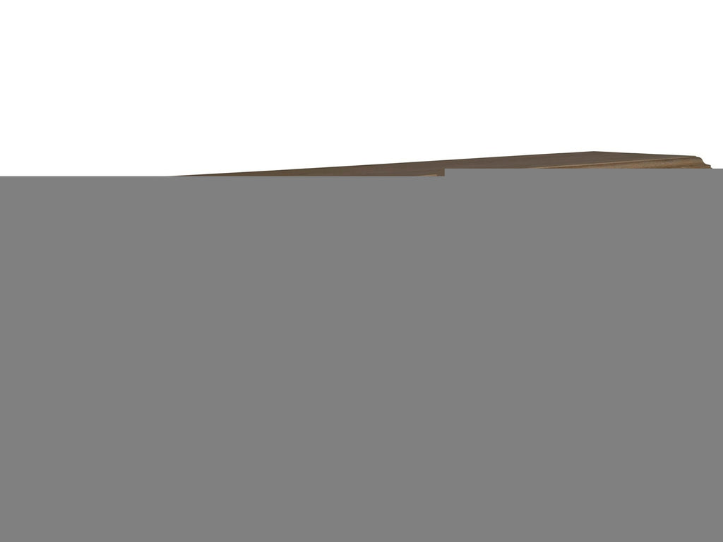 Universal Furniture Griffith Park Entertainment Credenza in Sienna